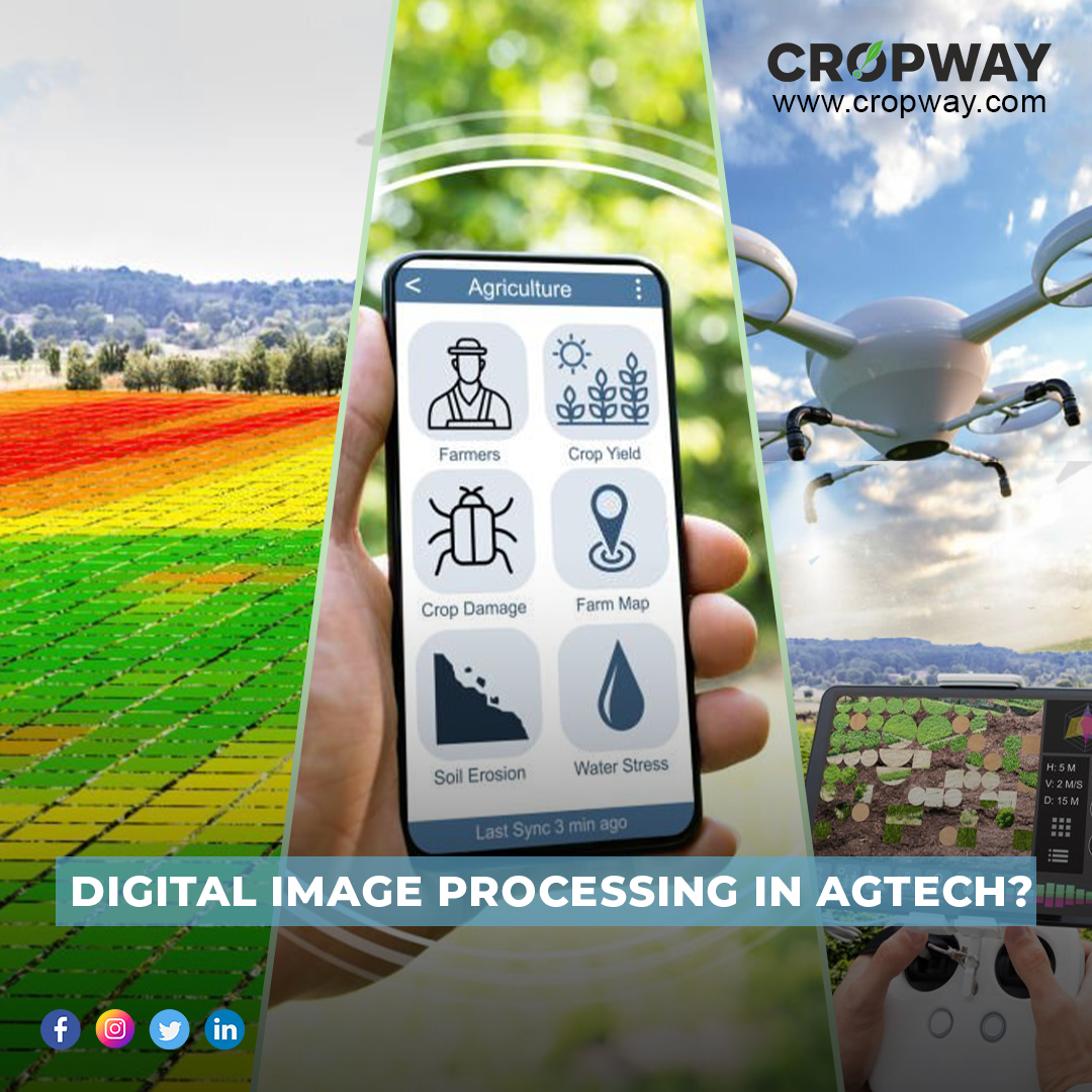 cropway_in's tweet image. 🛰️#Digitalimageprocessing in #agriculture enables #analysis &amp;amp; #interpretation of images collected from diverse sources such as #satellites, #drones, &amp;amp; #fieldcameras.  Learn how this #innovation can help to eradicate #worldhunger #agriculturetechnology 

🔗bit.ly/3VKdsYM