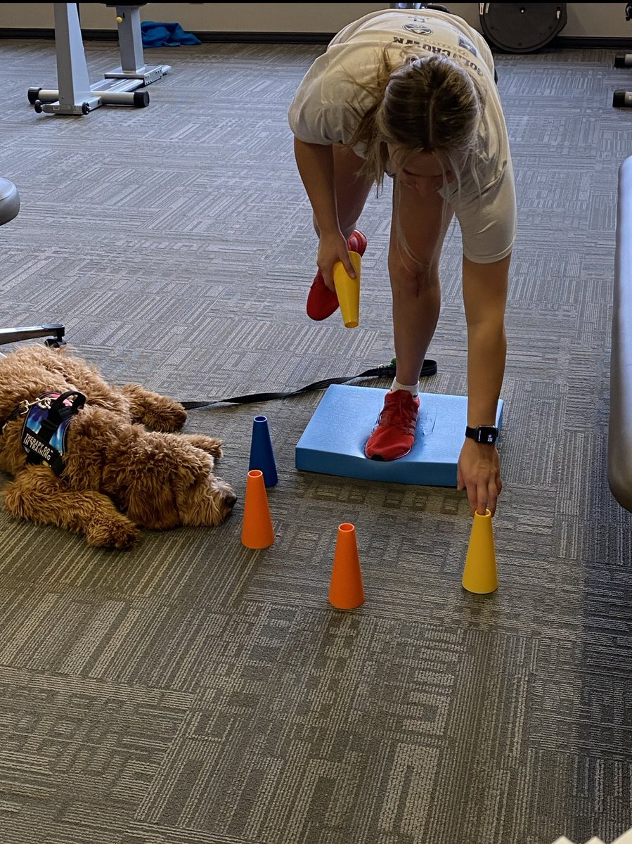 mikyn_h's tweet photo. PTs have such an under-appreciated job. Mine have supported me at my worst, helped me overcome each day, &amp; applauded me at every milestone. So grateful for everything they’ve done for me &amp; will continue to do. Thank you for reminding me to trust the process. &amp; therapy dog goose💗 https://t.co/e0ZXxvXiew