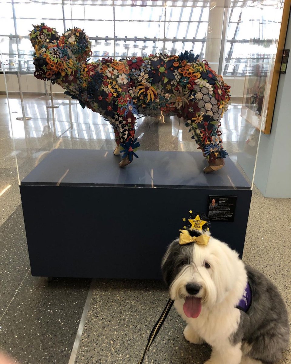 APTherapyDogs's tweet photo. Happy 2023 from Abby
・・・
Happy New Year from SkyHarbor and Abby. #skyharbor @PHXSkyHarbor @airporttherapydogs #t3 #terminal3 #crazyairport #airportart #adogslife #wednesdayworkday #oes #therapydog #navigatorbuddies #navigatorbuddiesatskyharbor https://t.co/32my8UPDAb