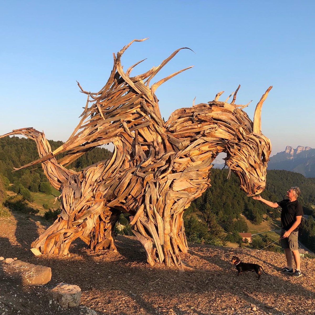 alexsposato's tweet photo. Ci sono ‘mostri’ che se li guardi da vicino… non sono poi così spaventosi #dragon #wingeddragon #dragoAlato #monster #wingedMonster #vaia #dragoDiVaia https://t.co/n2qGo5tLXl