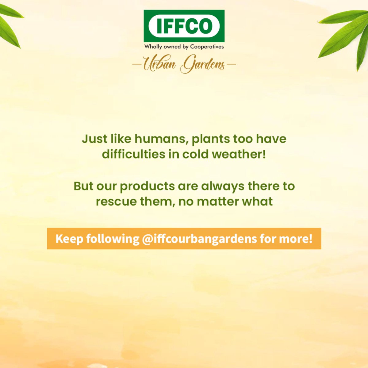 iffcourbangrdns's tweet photo. Here’s what winter means for you & your plants!
For more https://t.co/qQ2T4kGDQI
#iffcourbangarden #iffco #planthacks #instaplant #gardeningtips #plantcare #plantcaretipswinters #seasonplants #blogpost #winterblogs #blogoftheday https://t.co/awGPldr67y