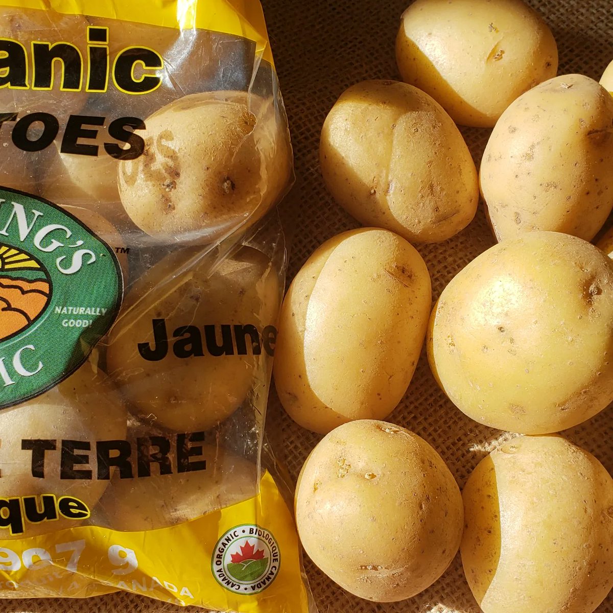 pfenningsfarm's tweet image. Our winter import program is in full swing, but local season in Ontario is never truly over! Throughout 2023, we’ll be sharing what’s in season in ON each month! What&apos;s your favourite??
#LoveOntFood  #GoodThingsGrowInOntario  #FindLocalFriday