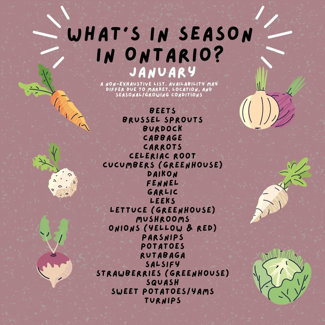 pfenningsfarm's tweet image. Our winter import program is in full swing, but local season in Ontario is never truly over! Throughout 2023, we’ll be sharing what’s in season in ON each month! What&apos;s your favourite??
#LoveOntFood  #GoodThingsGrowInOntario  #FindLocalFriday