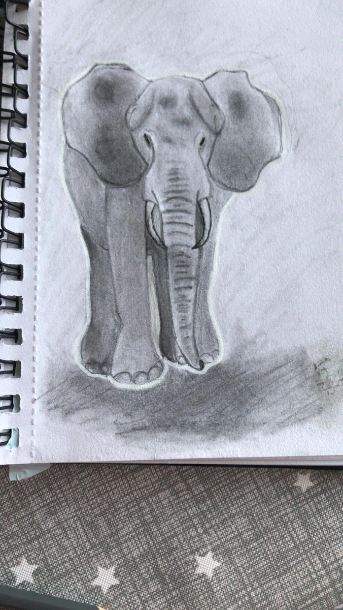 My youngest (just turned 10). just knocked this one up. She doesn’t take praise very well, But I’m chuffed with this one #welshart #elephant
