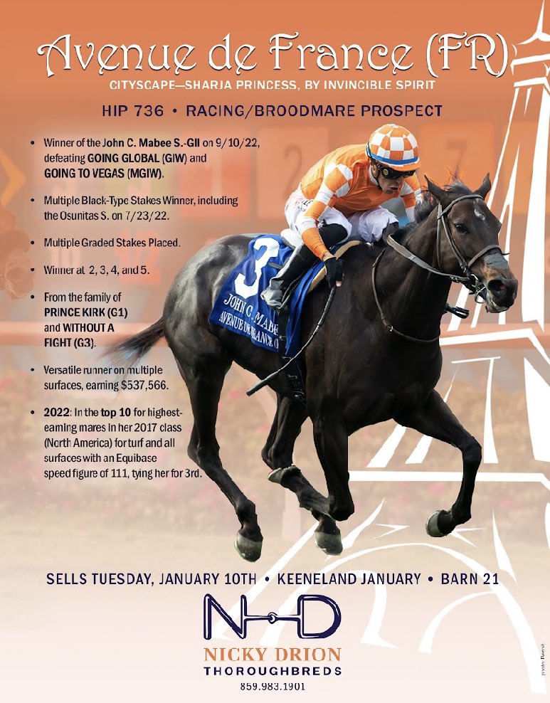 Arqana <a href="/InfoArqana/">ARQANA</a> graduate Avenue de France shipped in to <a href="/NickyDrion/">Nicky Drion</a> from @leopowellracing. Excited to sell this talented filly at <a href="/keeneland/">Keeneland</a> Tuesday, 10th of January. <a href="/MadaketStables/">MadaketStables</a> <a href="/MarcLore/">Marc Lore</a> @Sandra_Benow