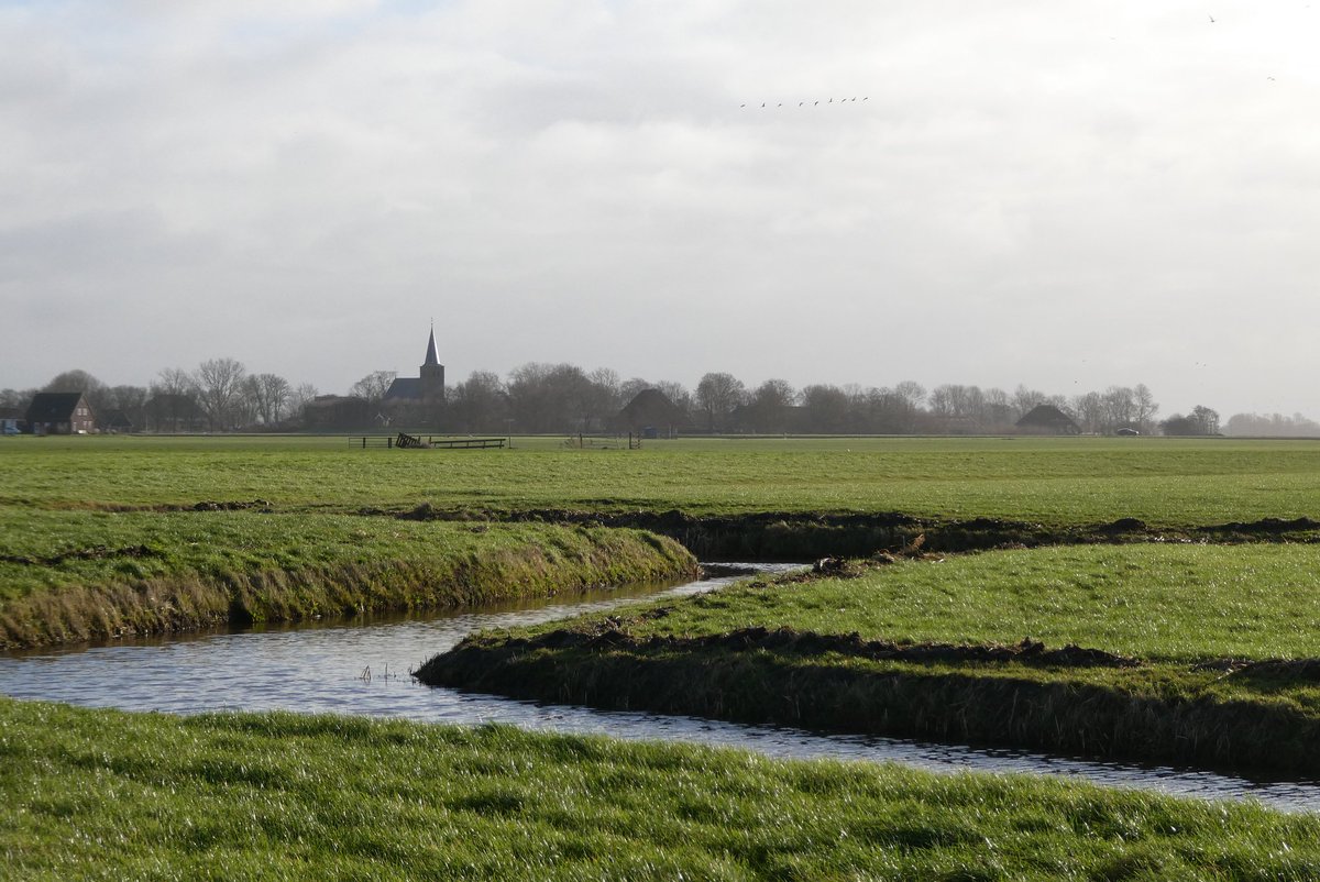rienkkuiper's tweet photo. Prielenlandschap met #Boksum vanaf #Blessum https://t.co/KZLeLNkSH6