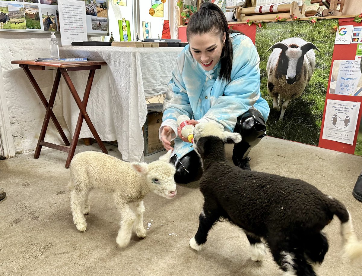 BoyneValleyTour's tweet photo. Thanks to Alison at Boyne Valley Wools for making it a special visit for my guests on a Boyne Valley Tour #boynevalleytours #boynevalleywools #boynevalley #discoverboynevalley #lambs #ireland #discoverireland https://t.co/hY5oc8Orj4