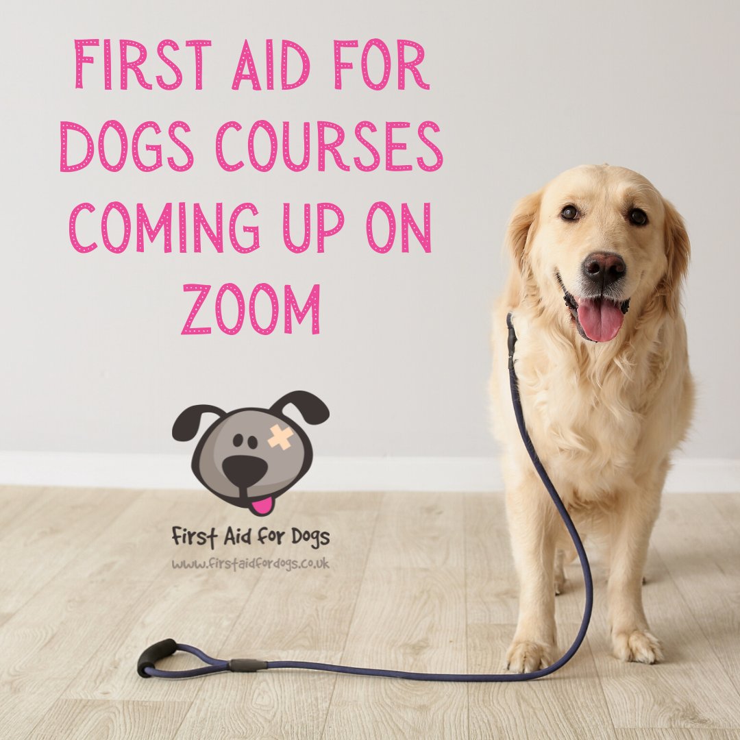 🐶Join us on Zoom for our excellent First Aid for Dogs course. Spend an evening in the company of our expert tutor from the comfort of your own home, learning fundamental dog first aid skills.
😊We've a date coming up later this month &amp; Feb, Apr &amp; June.
💻firstaidfordogs.co.uk/our-courses/do…