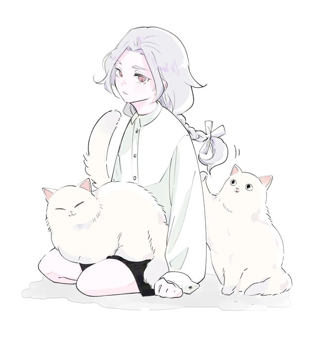 「ロングヘアー 白い猫」のTwitter画像/イラスト(新着)｜5ページ目