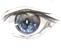 こういう目をものにしたいですね🦊 