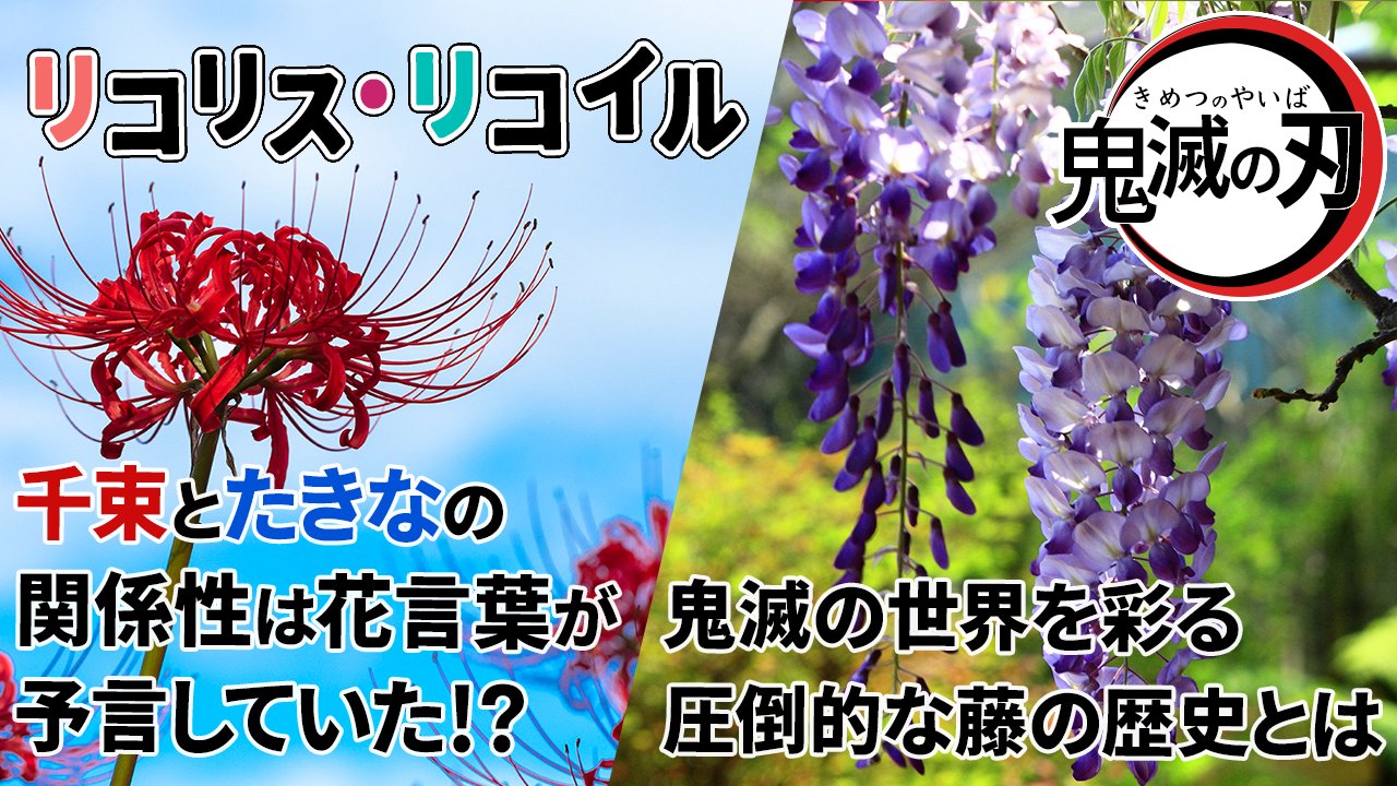 オタクの自由研究ラジオ V Twitter オタクの自由研究ラジオ 花言葉回の第4回を更新 リコリコ のヒロインたちは まさに作品の花だった 鬼灯の冷徹 きっかけで ホオズキの面白さを知る 鬼滅の刃 とフジの関係が壮大すぎる など ちょっと怖い花言葉 オタクの自由研究ラジオ V Twitter オタクの自由研究ラジオ 花言葉回の第4回を更新 リコリコ のヒロインたちは まさに作品の花だった 鬼灯の冷徹 きっかけで ホオズキの面白さを知る 鬼滅の刃 とフジの関係が壮大すぎる など ちょっと怖い花言葉