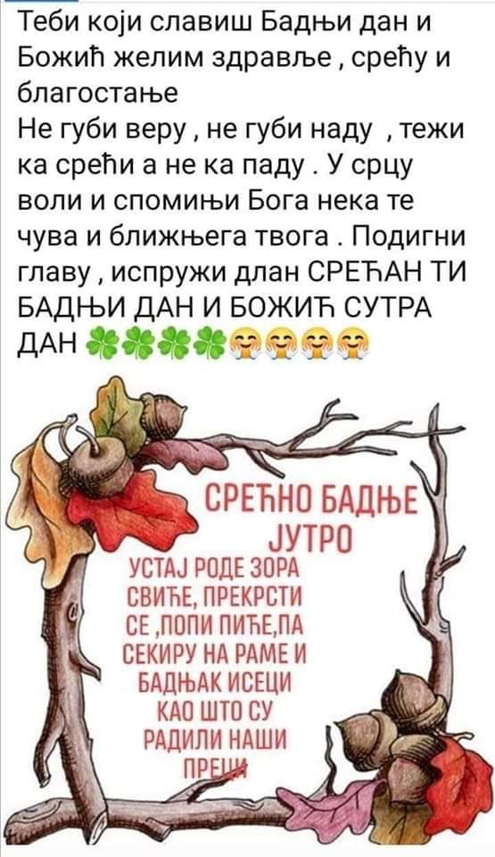 globoflora's tweet photo. https://t.co/OclYDGDmwT