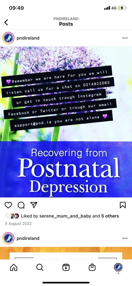 IrelandPND's tweet photo. https://t.co/a7iVXuTPtd