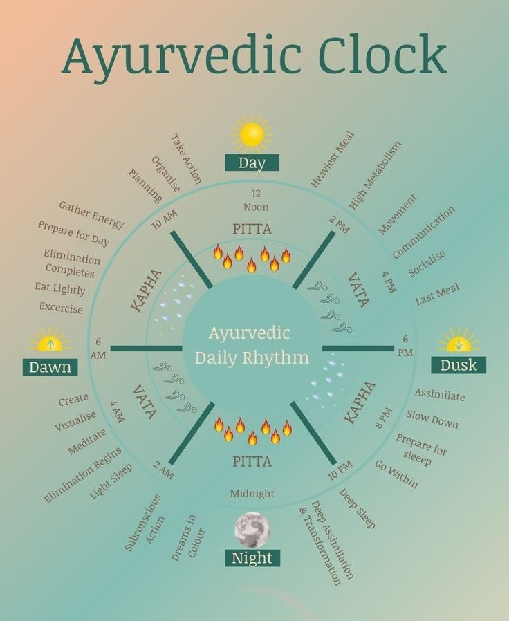 𝖠𝗒𝗎𝗋𝗏𝖾𝖽𝖺 𝖳𝖺𝗅𝗄𝗌 🍃 on Twitter "How to Use The Ayurvedic Clock Do you