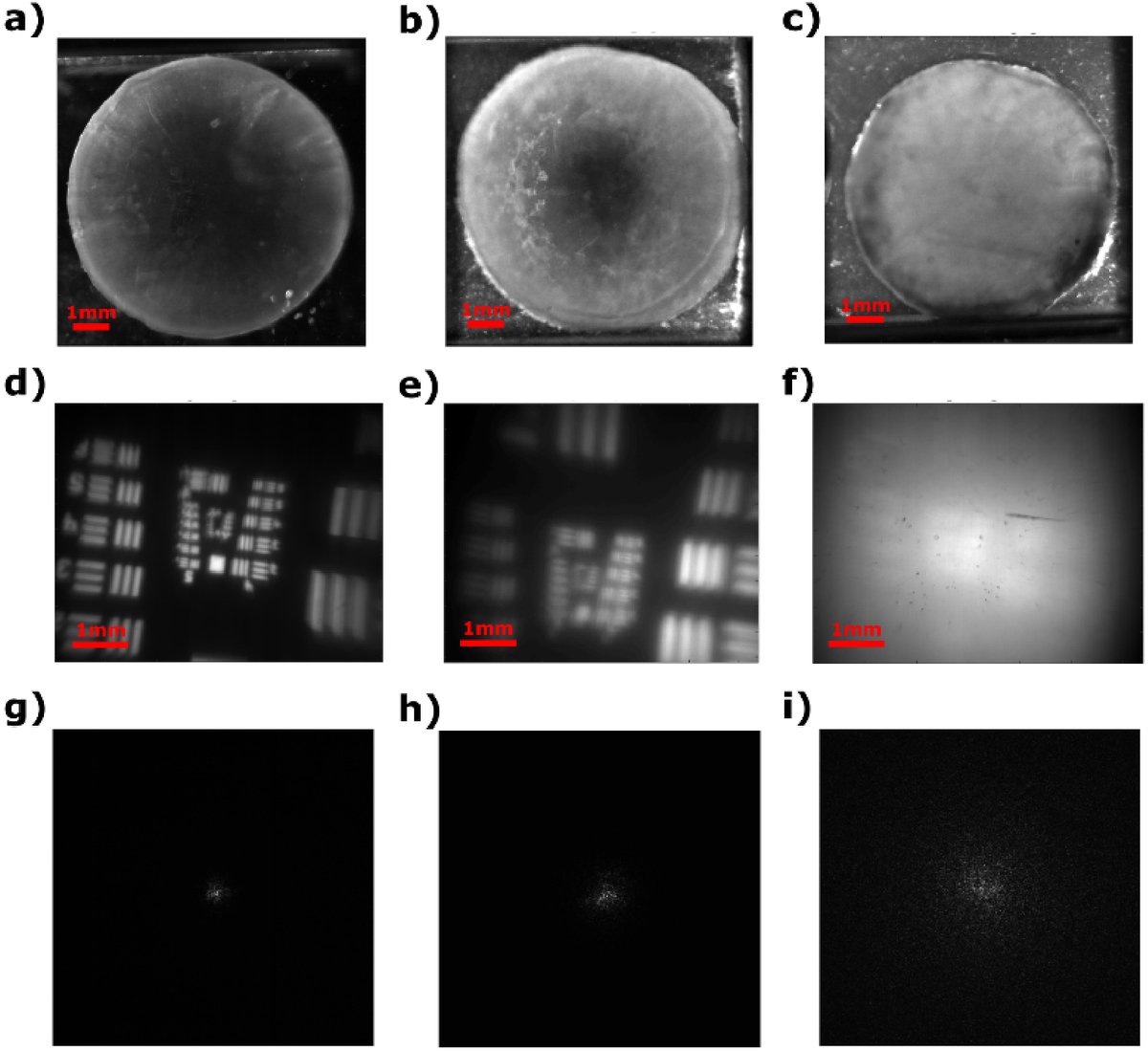 pablo_artal's tweet photo. Our first published paper of 2023 arrived the King's night! A nice🎁
"Optical memory effect of excised cataractous human crystalline lenses" by Alba Paniagua et al.
Published (open) in #BOEx @OpticaPubsGroup @OpticaWorldwide
https://t.co/65MSNVOgjA
@lo_um @umu https://t.co/XZ2dW1h38G