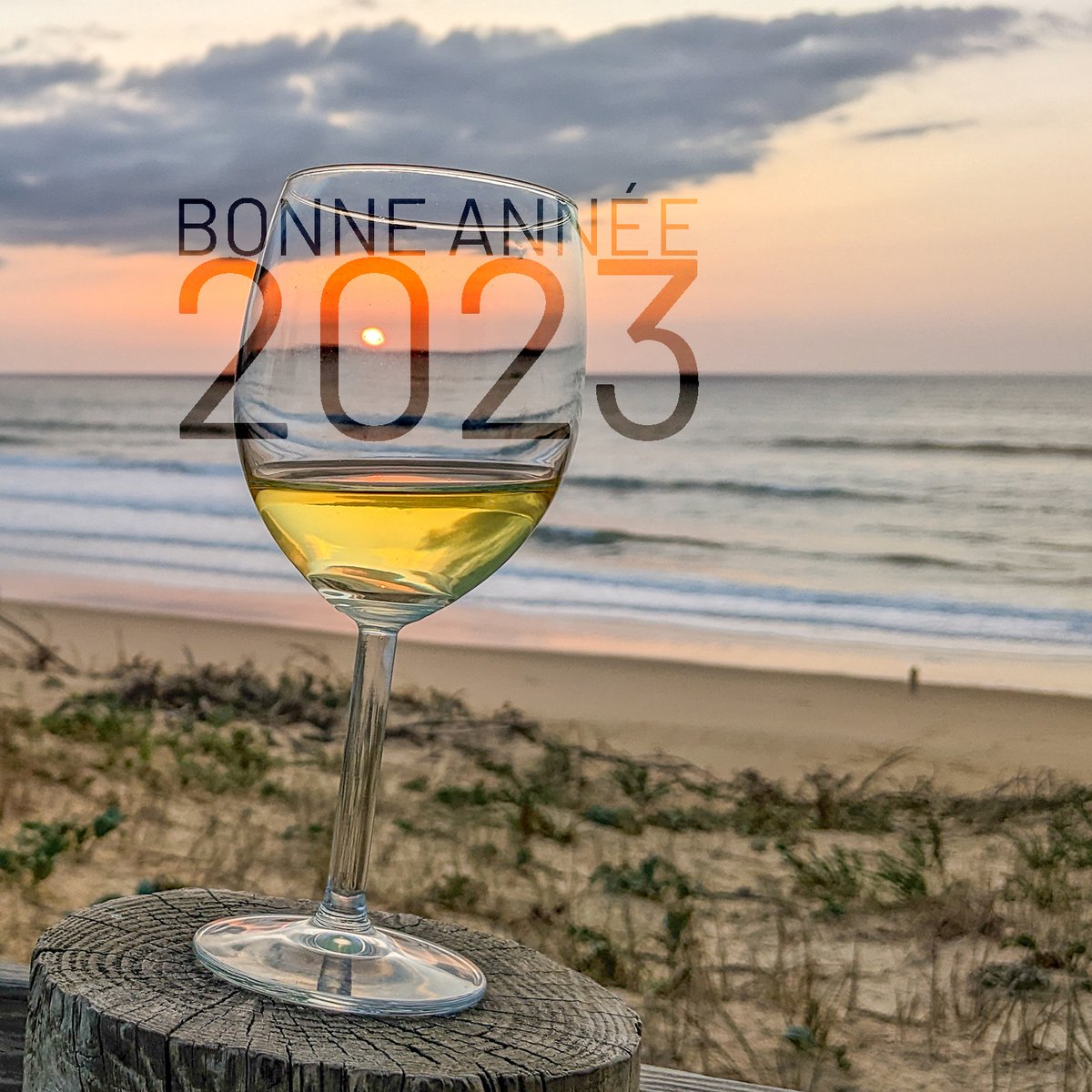cinquau's tweet photo. Toute l’équipe du Domaine vous souhaite une merveilleuse année 2023 !
Remplie de projets et de joies, de réussites et de bonheur, de partage et de convivialité … autour de nos vins de Jurançon, bien entendu ! 😉🥂🤩
#bonneannee2023 #happynewyear23 #feliz2023  #jurancon  #cinquau https://t.co/WkSOm2L3xd