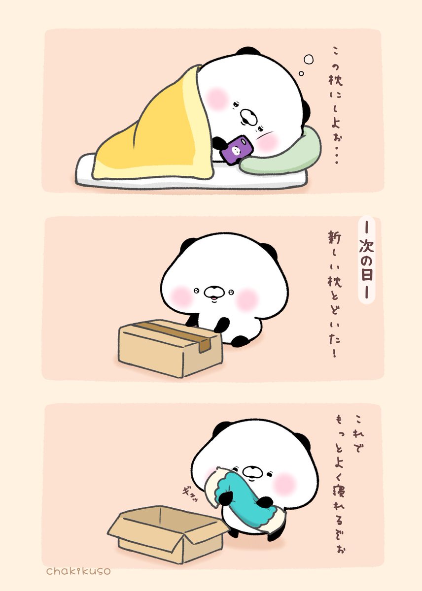 パンダくん安眠枕を買う
明日も続きます... 