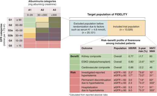 📌#Finerenone in chronic kidney disease & type 2 diabetes: the known and the unknown

#CardioRenal #CKD