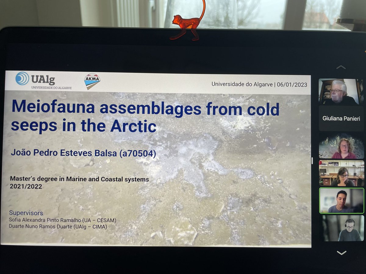 Nematodes living at Arctic cold seeps! interesting results now presented by João Balsa in his master presentation at the university of algarve with @SofiaPRamalho @AKMAproject @VentSeepFauna @CAGE_COE @UiTNorgesarktis