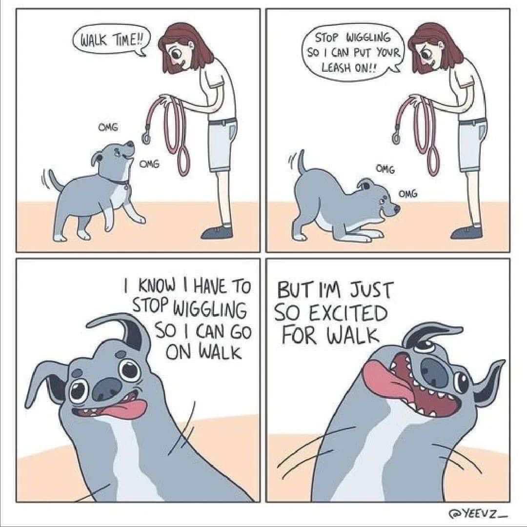 youngveterinary's tweet image. Life with a dog is never dull 😂 🐶
#walkies #dogwalking #lifewithadog