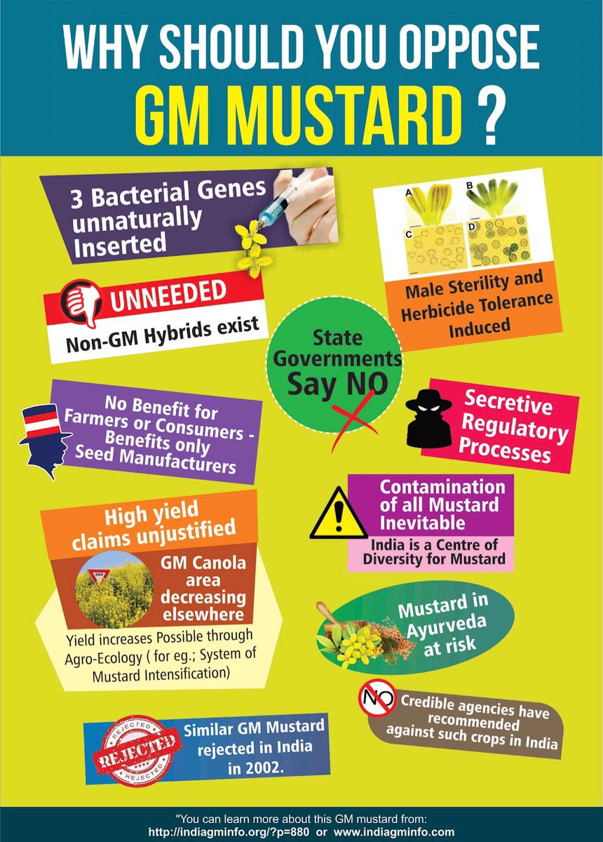 TBEs_'s tweet photo. Enough reasons to say #NoGMMustardPosion 
@MamataOfficial @CMOfficeWB @wbcmo @SobhandebChatt1 @ManasB_Official @Dolasen7 @MahuaMoitra
@firhadHakim @derekobrienmp https://t.co/lfcEbUXuHl