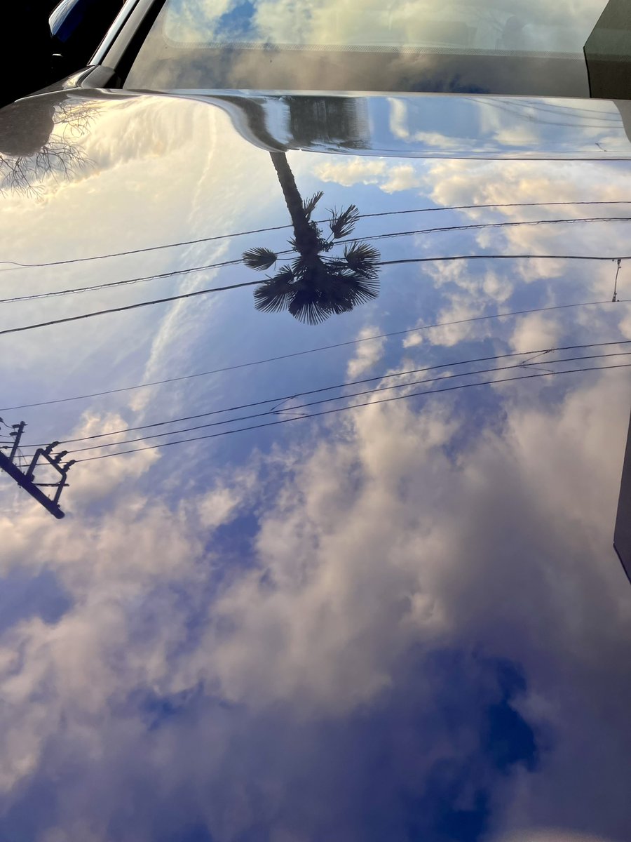 junk414's tweet photo. 冬の午後4時、愛車のボンネットに映るシュロの木。横浜の団地の駐車場とは思えないリゾート感… https://t.co/1B02qfnxQZ