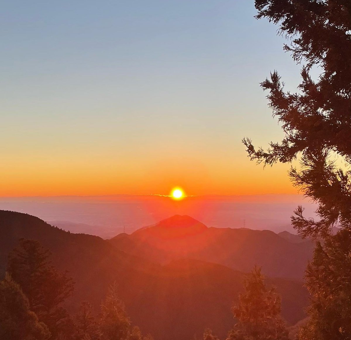 m_mitake929's tweet image. あけましておめでとうございます。
今年はお天気に恵まれ、初日の出もとても綺麗でした。
皆様にとって良き年となりますようお祈り申し上げます。

#御嶽神社 ＃武蔵御嶽神社 ＃青梅市 ＃お犬様 #おいぬさま