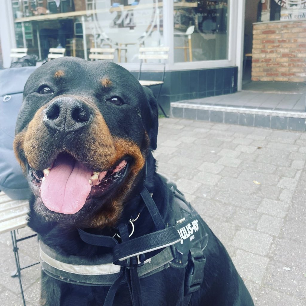 BatteryWizard tweet media