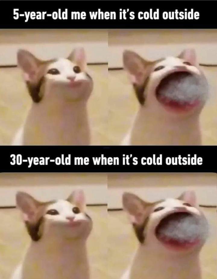 me irl