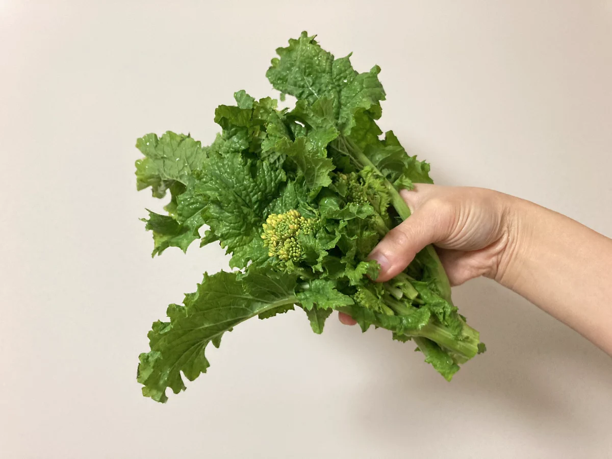 お手軽に作ることが出来ちゃいそう！「菜の花」の美味しそうな食べ方！