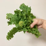 お手軽に作ることが出来ちゃいそう!「菜の花」の美味しそうな食べ方!