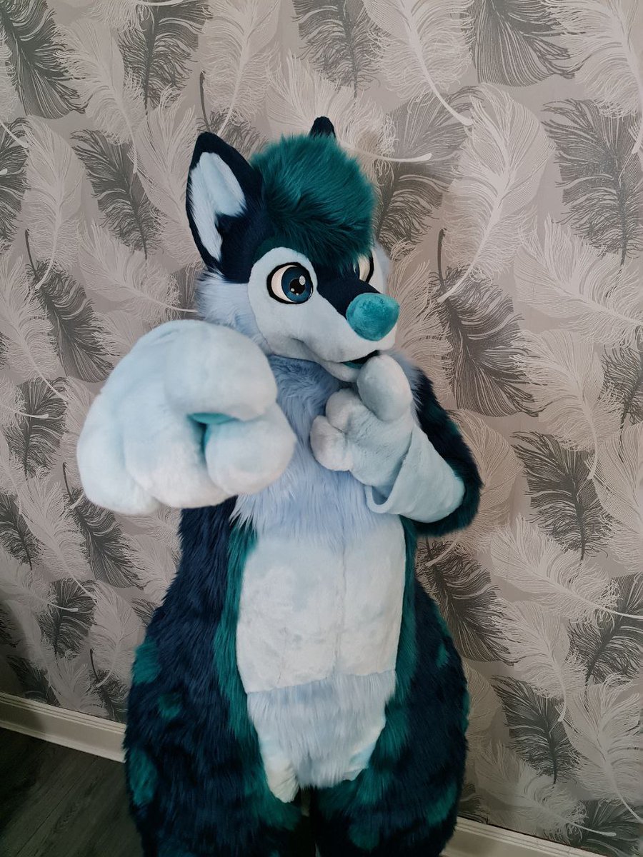 SuchBrodie's tweet photo. First ever #FursuitFriday, go team @selkiesuits 😋 https://t.co/ztggm039jS