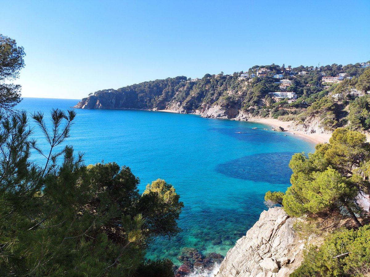 Les minves dels Reis.
Bon dia des de Tossa?