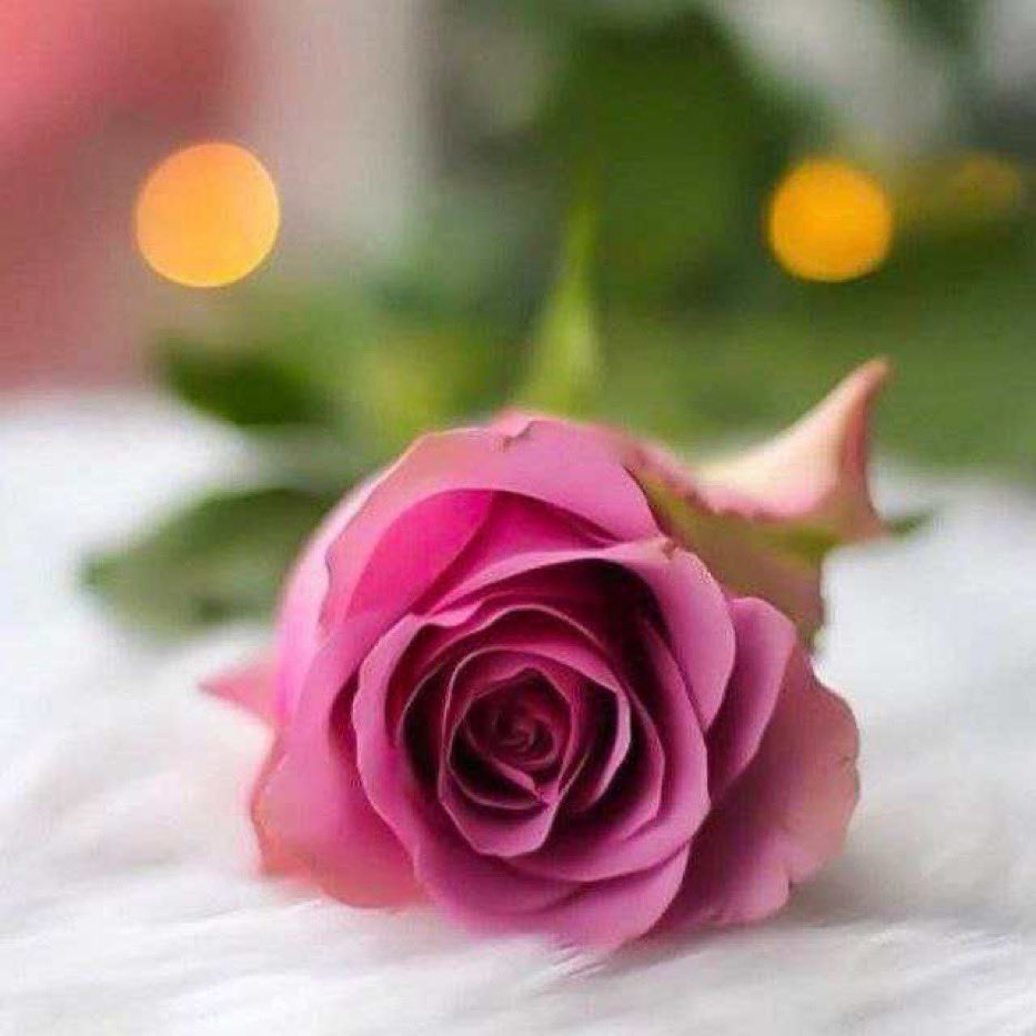 "اللهم يا مسخر الناس للناس سخر لي الأرض ومن عليها والسماء ومن فيها، اللهم اجعل طريقي مفتوح للخير دائمًا و أبدًا."

#يوم_الجمعة 
#ساعه_Iستجابه