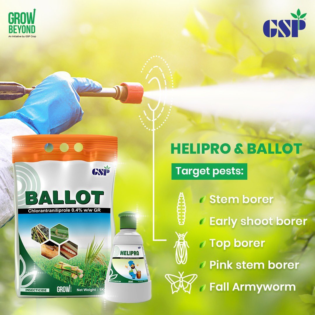 GspCrop's tweet photo. Helipro &amp; Ballot works on pests through ingestion, contact, ovi-larividal, and larvicidal. This anthranilic and phthalic diamide insecticide works best when its application is timed at or before egg deposition.

#GSPCropScience #GspCrop  #HeliPro #Ballot #Farming #pest https://t.co/6o3qZkYq9d