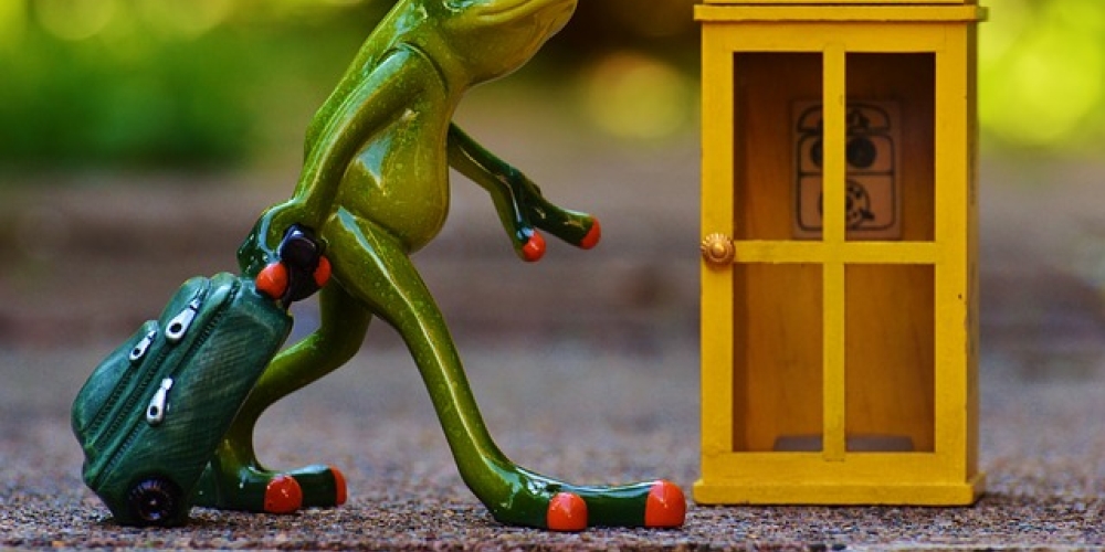 BBihia's tweet photo. Oh just take a look at this!
#Photograph #Green #Toy #Telephonebooth #Payphone #Grass #Truefrog #Wood #Snapshot #Redeyedtreefrog https://t.co/O62XxOb1DY