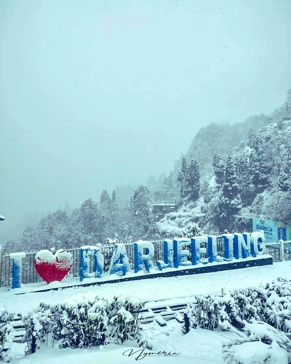 TanazFatma's tweet photo. Wow amazing!🤩 #Darjeeling ❤️ https://t.co/cGw9VXiINe