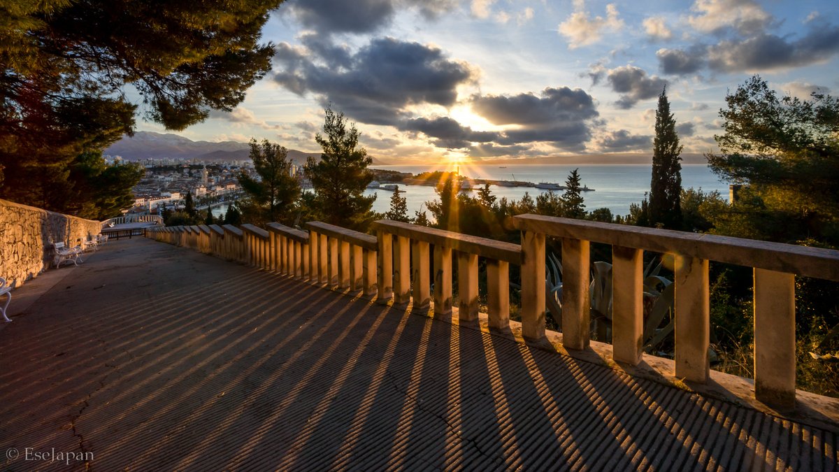 Yuya Matsuo tweet media