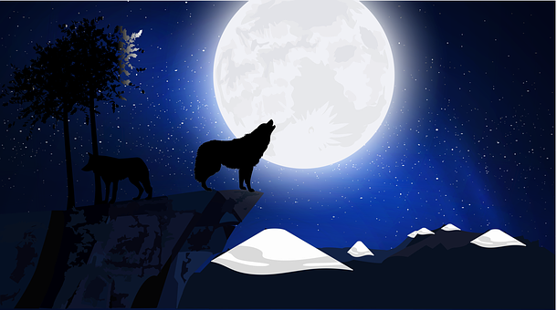 sweetstickyrain's tweet photo. #FullWolfMoon
#WolfMoon
#FullMoon
#JanuaryMoon
https://t.co/ypoPvJoAKe
Full Wolf January Moon https://t.co/1Xk9pvS3O1