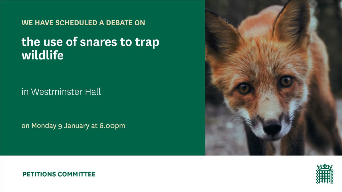 Nick Fletcher tweet media