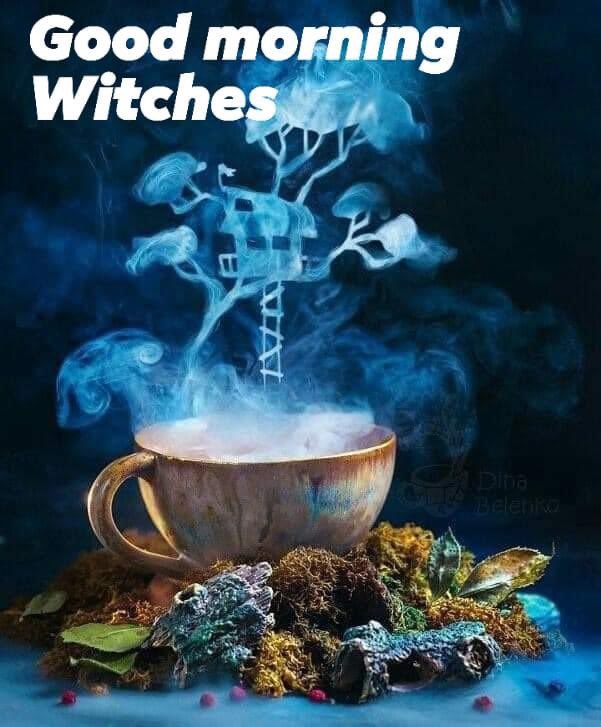 Good Morning my Brothers and Sisters!! Wishing everyone a blessed day. Don't forget your coffee, the original black magick. For everyone else's safety. ☕️ ✨️🖤✨️
#witchy #WitchesWishes