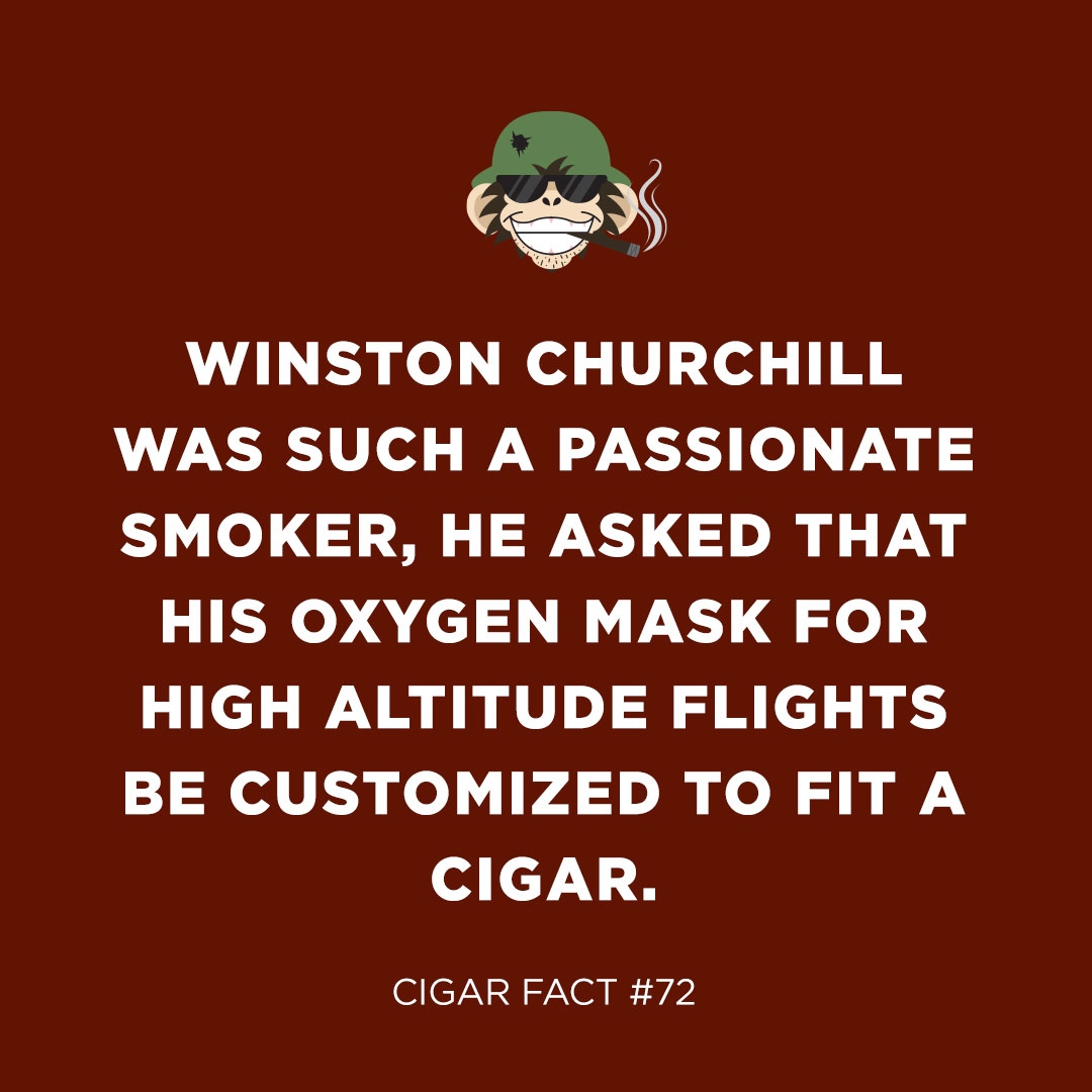 cigarpage's tweet photo. cigar fact #72 π‘ #sotl #cigarfacts #cigaroftheday #cigarnation #nowsmoking #cpfacts #cigarpage https://t.co/uoGxWrsDWR