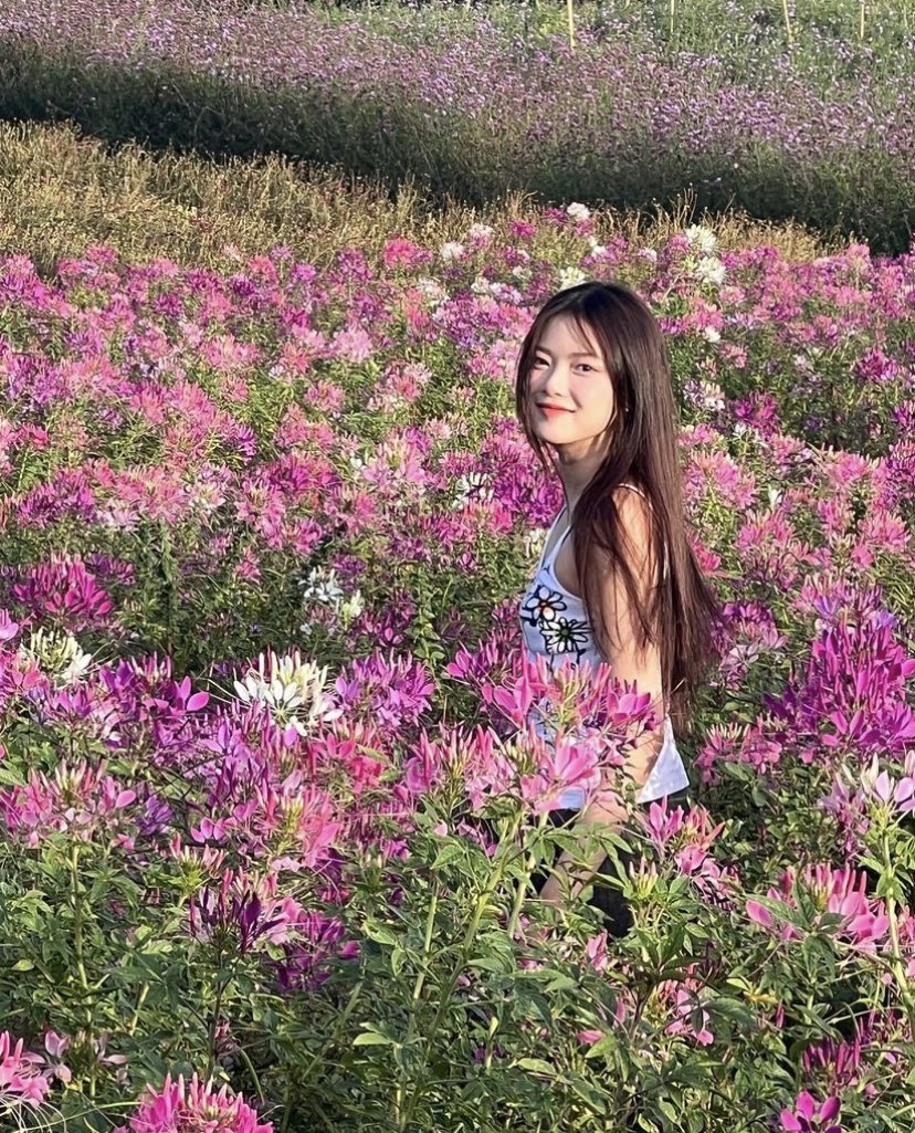 Pixxie_fanclub's tweet photo. [repost] IG: mmabelzz
06/01/23

💐🌸🌺💖

#Mabelz_PiXXiE #PiXXiE https://t.co/4jHkkOXxvn