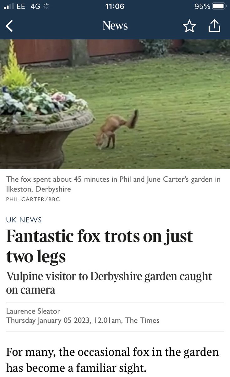 CharBar_tweets's tweet photo. It’s amazing he survived 🦊 #Wildlife #AmazingAnimals https://t.co/5ZeoXlPKnn