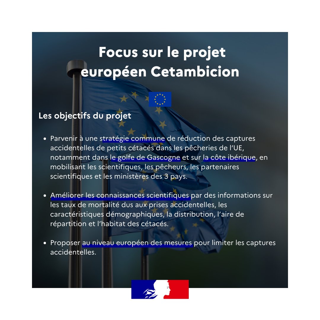 Mer et Pêche tweet media