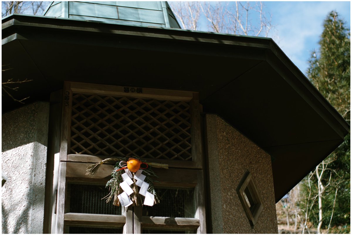 flm_tb's tweet image. #pentax_fa43limited #KYUSHU #ToyCamera