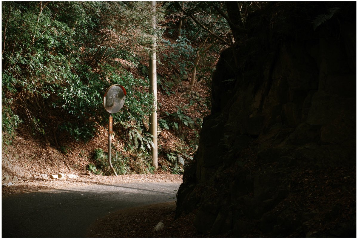 flm_tb's tweet image. #pentax_fa43limited #KYUSHU #ToyCamera