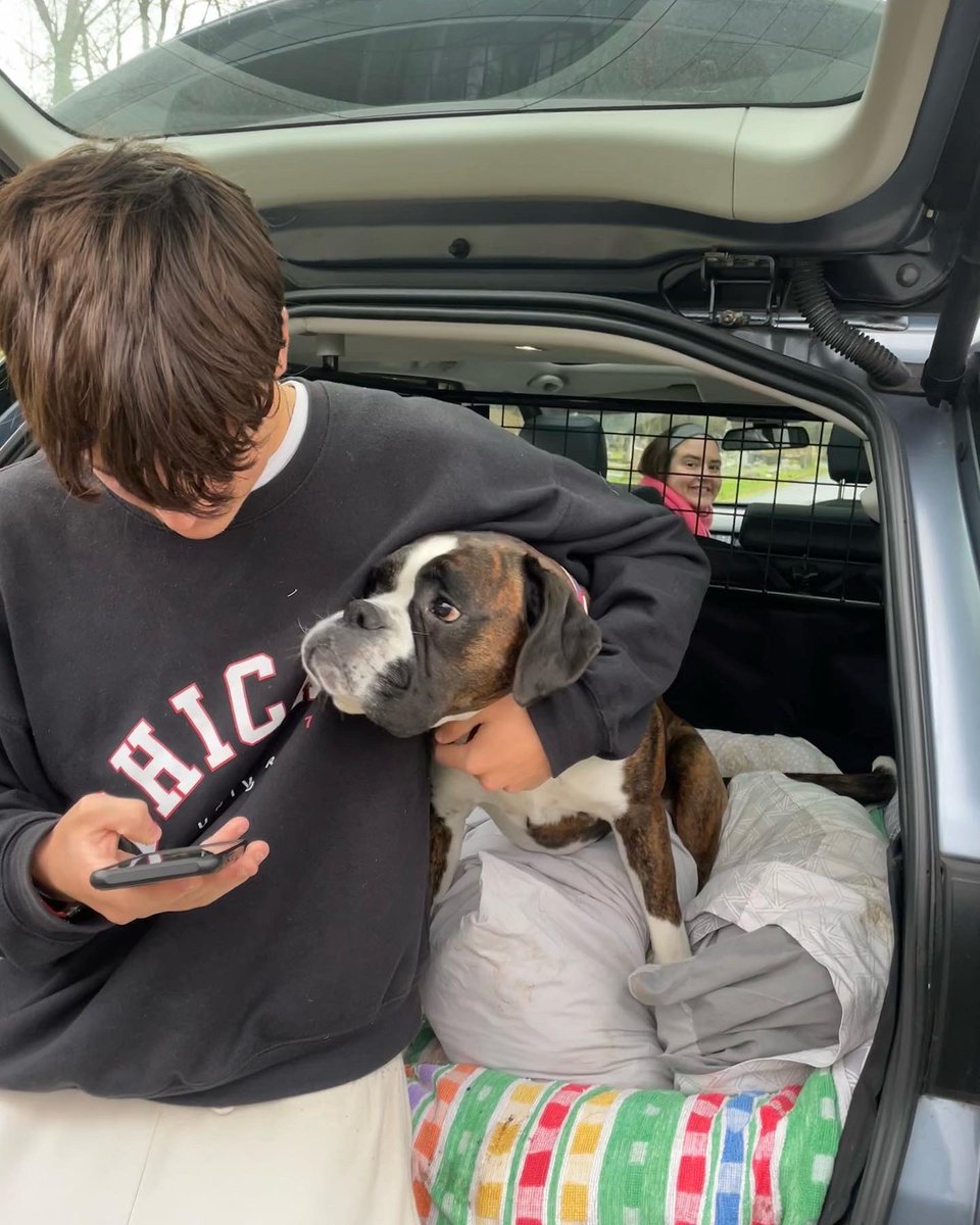 TaniaMariaWelch's tweet photo. Saying hello & going for a walk on Wimbledon Common β₯οΈ #nephew #niece #boxer #family #WimbledonCommon #Putneyvale https://t.co/I4811VmcvE