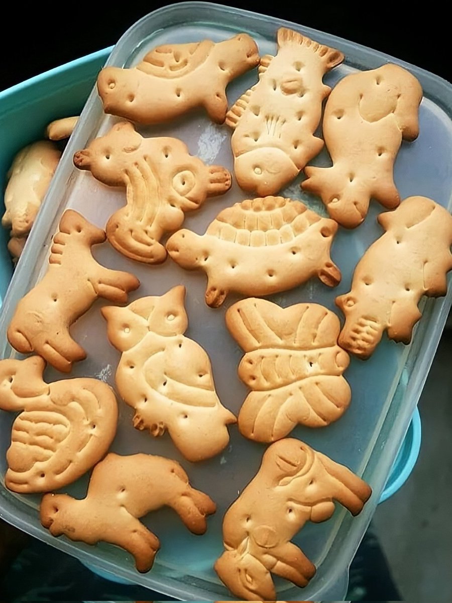 VisitUdupi's tweet photo. Do you still remember these animals shaped biscuits ? 🐟🐇🐦🐊🐢🦉 https://t.co/auBjQUiHSG
