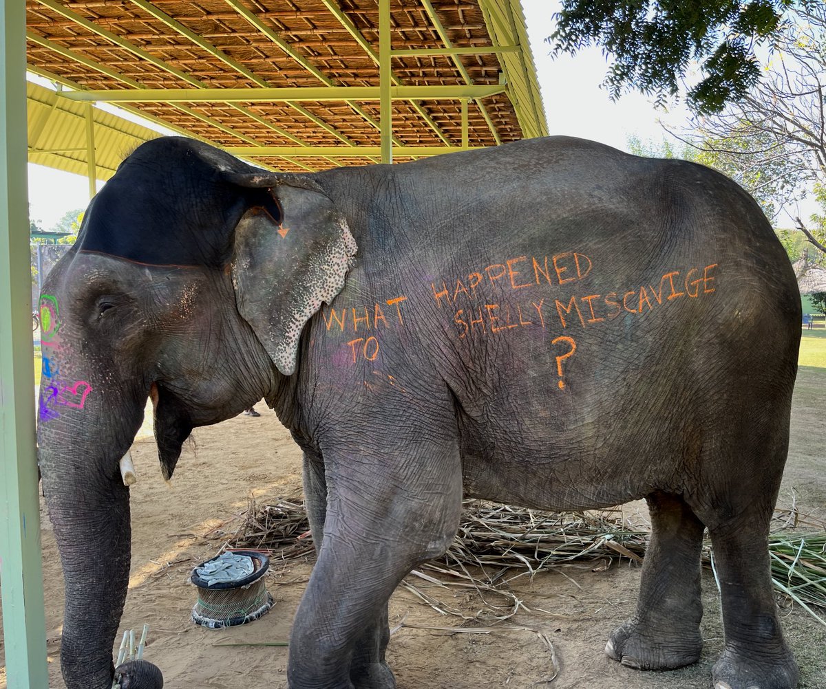 nnimrodd's tweet photo. Indian friends say this photo is trending in Rajasthan @Scientology @LeahRemini @TomCruise #scientology #davidmiscavige #goingclear https://t.co/5131TwxxQI